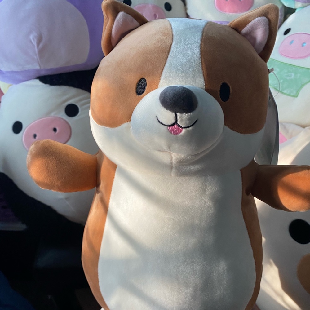 Reginald the corgi!! Squishmallow hugmee!